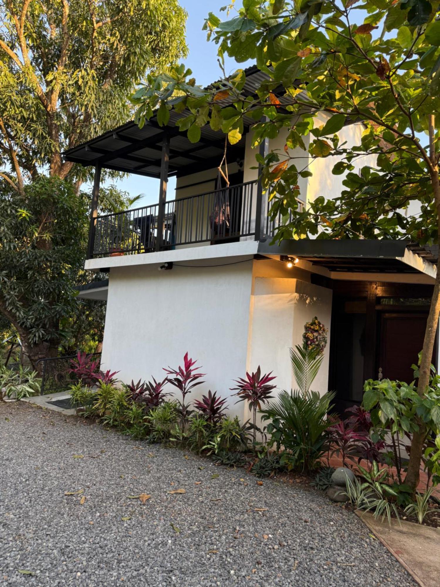 Bed and Breakfast Cotton House De Labrador Exterior foto